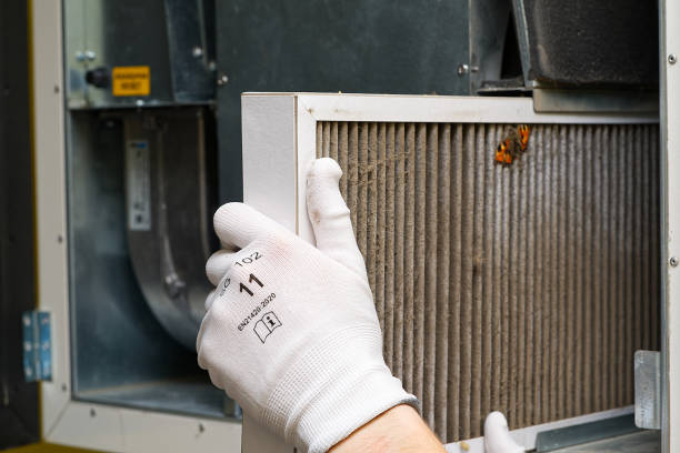 Best Air Duct Cleaning Near Me  in Chipley, FL
