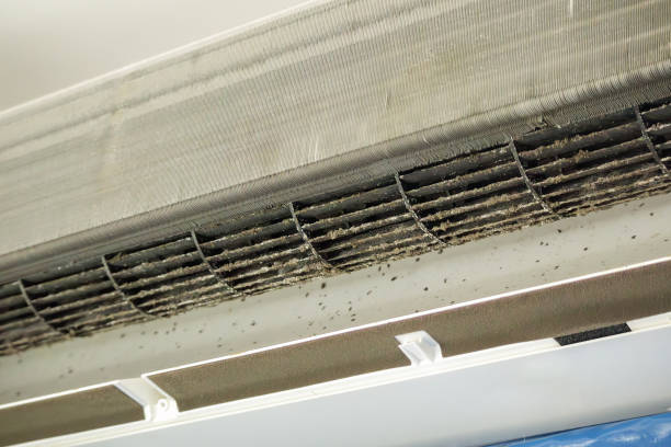 Best Air Duct Cleaning Company Near Me  in Chipley, FL